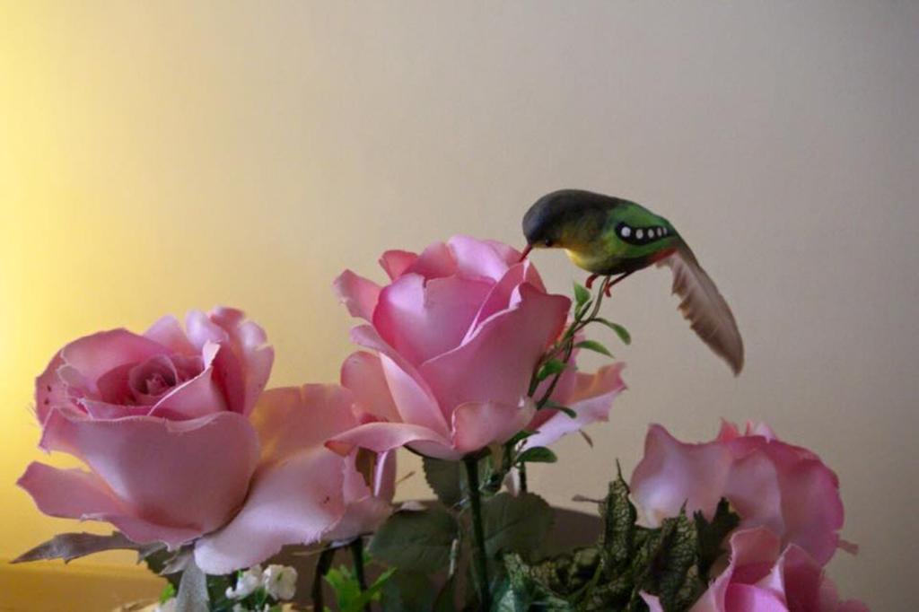 Lotus Suite HHQ Eksteriør billede